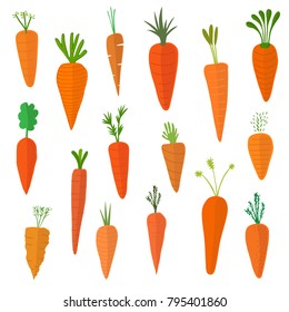 Carrot Vector, Illustration, Vegetables, raw materials, condiments, organic fresh food healthy ingredients orange nature sweet juicy delicious tasty art design