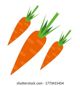 carrot vector illustration of a white background