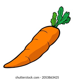 carrot vector illustration,isolated on white background,top view