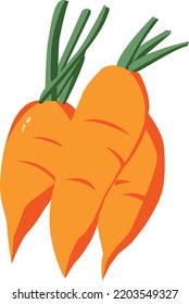 Carrot vector illustrator file no background