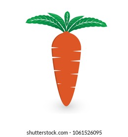 Carrot Vector isolated on white background