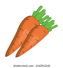 carrot vector isolated on white background,vegetable vector illustration.