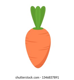 carrot vector. carrot on white background. symbol. free space for text. wallpaper. copy space.
