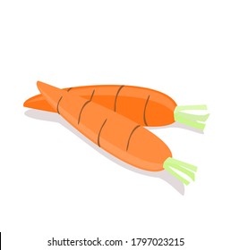 Vector de zanja sobre fondo blanco