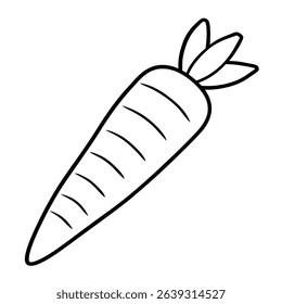 Carrot Vector on White Background
