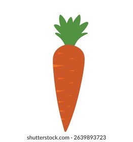 Carrot Vector on White Background