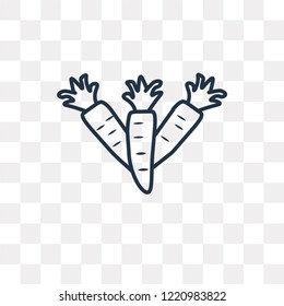 Carrot vector outline icon isolated on transparent background, high quality linear Carrot transparency concept can be used web and mobile