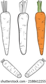 Carrot Vector Retro Cartoon Style Color Black And White