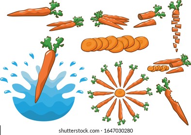 Carrot vector set collection graphic clipart design