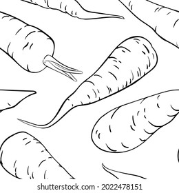 carrot vector set on white background