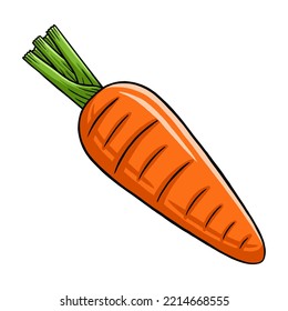 Carrot in Vector Style Illustration