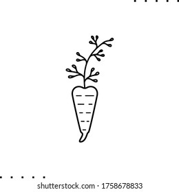 carrot vector vegetable icon in outlines