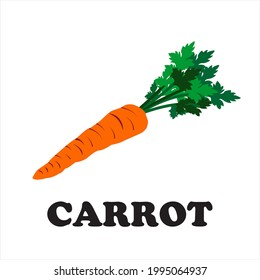 carrot vegetable color icon.vector illustration
