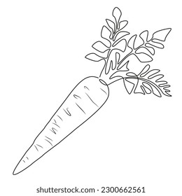 Carrot vegetable in continuous line art drawing style. Carrot plant minimalist black linear sketch isolated on white background. Vector illustration.