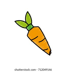 carrot vegetable draw