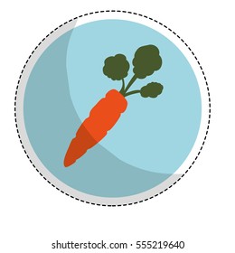 carrot vegetable emblem icon image vector illustration design 