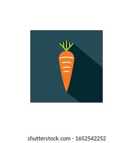 Carrot vegetable flat icon vector 