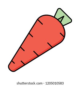 carrot  vegetable   food 