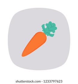 Carrot  vegetable, food.