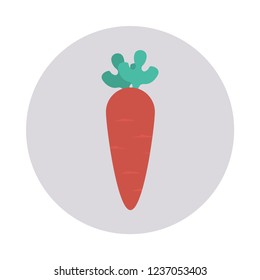 carrot   vegetable   food 