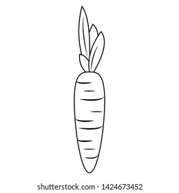 Carrot vegetable food isolated cartoon vector illustration graphic design
