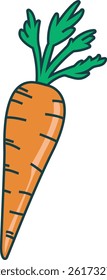 Carrot Vegetable Fresh Food Vector