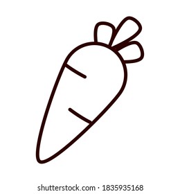 carrot vegetable fresh nature vector illustration line icon style