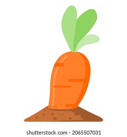 Cultivo de vegetales de zanahoria en el diseño de vectores planos del suelo.