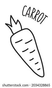 Carrot vegetable hand drawn with thin line