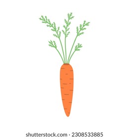 Carrot, vegetable, harvest. Vector Illustration for printing, backgrounds, covers and packaging. Image can be used for greeting cards, posters, stickers and textile. Isolated on white background.