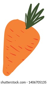 A carrot is a vegetable. It has orange edible root and green leaves on its top., vector, color drawing or illustration. 