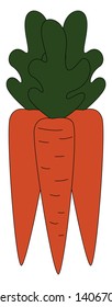 A carrot is a vegetable. It has orange edible root and green leaves on its top., vector, color drawing or illustration. 