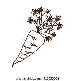 carrot vegetable icon