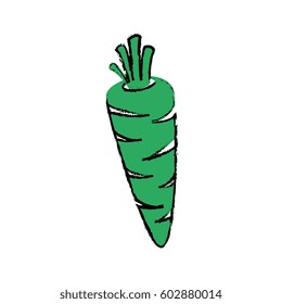 carrot vegetable icon