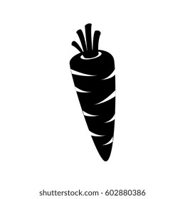 carrot vegetable icon