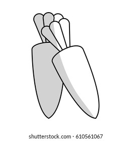 carrot vegetable icon