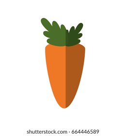 carrot vegetable icon