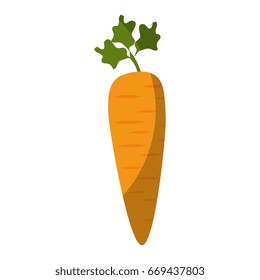 carrot vegetable icon