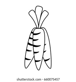 carrot vegetable icon image 