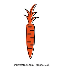 carrot vegetable icon image 