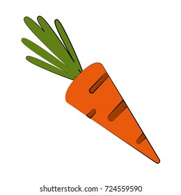 carrot vegetable icon image 