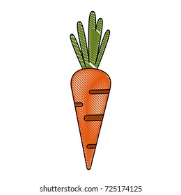 carrot vegetable icon image
