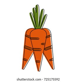carrot vegetable icon image 