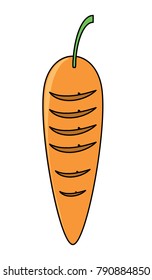 carrot vegetable icon image
