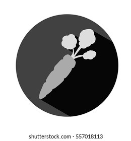 carrot vegetable icon image vector illustration design 
