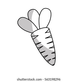 carrot vegetable icon image vector illustration design 