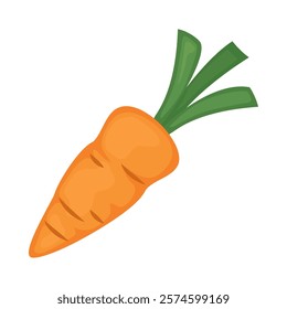 carrot vegetable icon isolated design