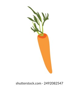 Carrot vegetable icon isolated white background.