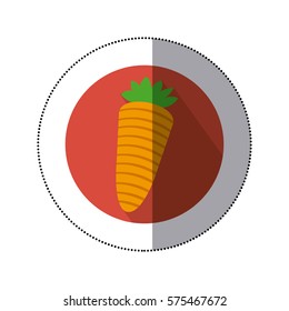 carrot vegetable icon mage, vector illustration design