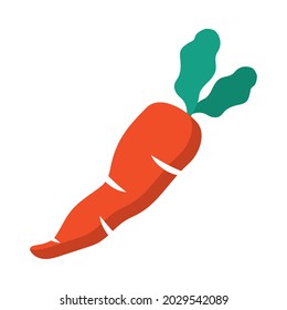 carrot vegetable icon on white background
